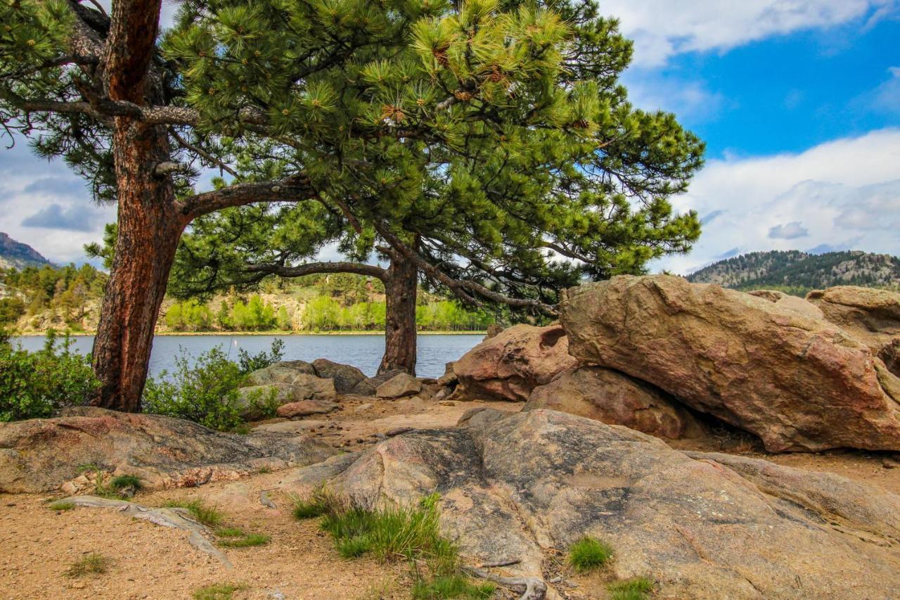 Twin Pines Cabin Estes Park Kültér fotó